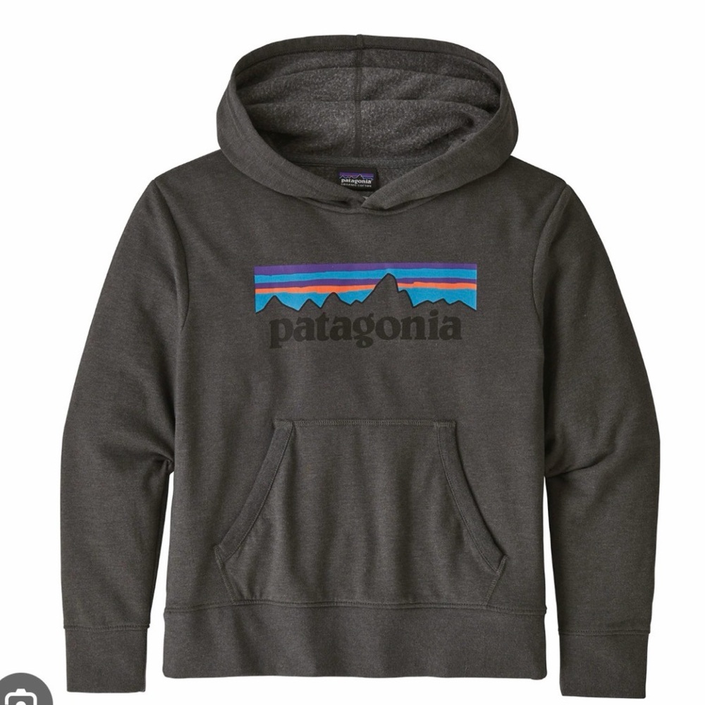 Patagonia Gray Youth P6 Logo Hoodie